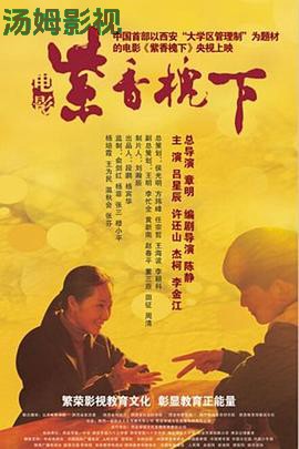 紫香槐下
